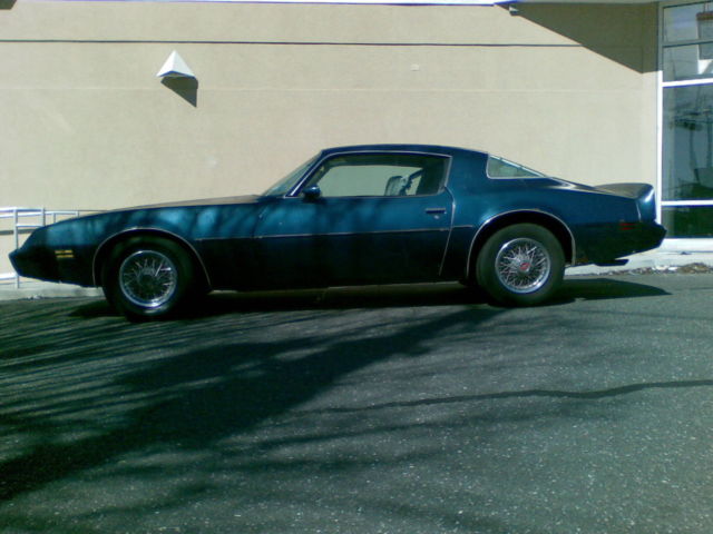 1979 Pontiac Firebird Base Model - photo 4