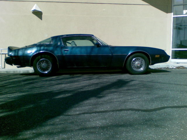 1979 Pontiac Firebird Base Model - photo 6