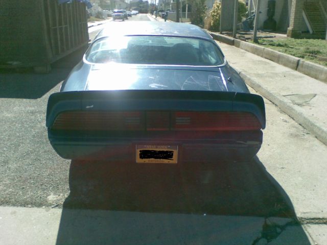 1979 Pontiac Firebird Base Model - photo 8