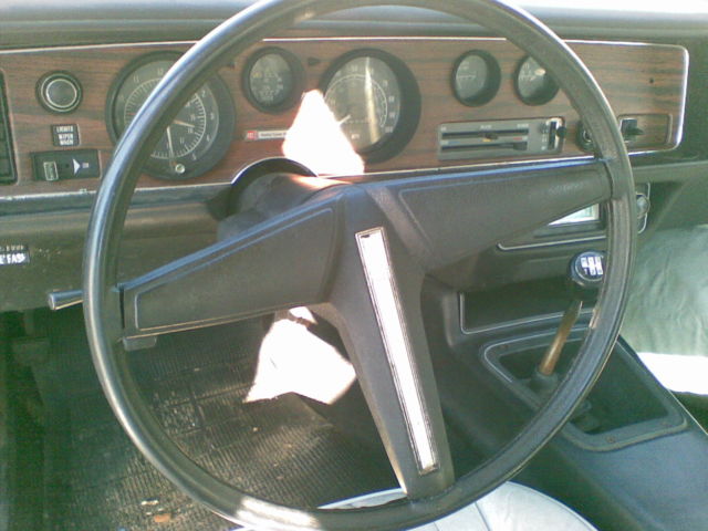 1979 Pontiac Firebird Base Model - photo 9