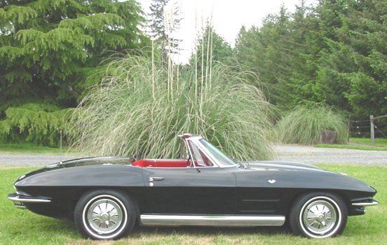 1964 Chevrolet Corvette Convertible - photo 11