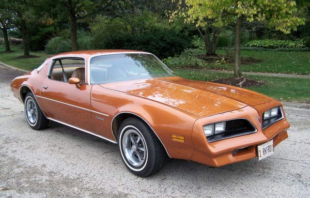 1977 Pontiac Firebird - photo 2