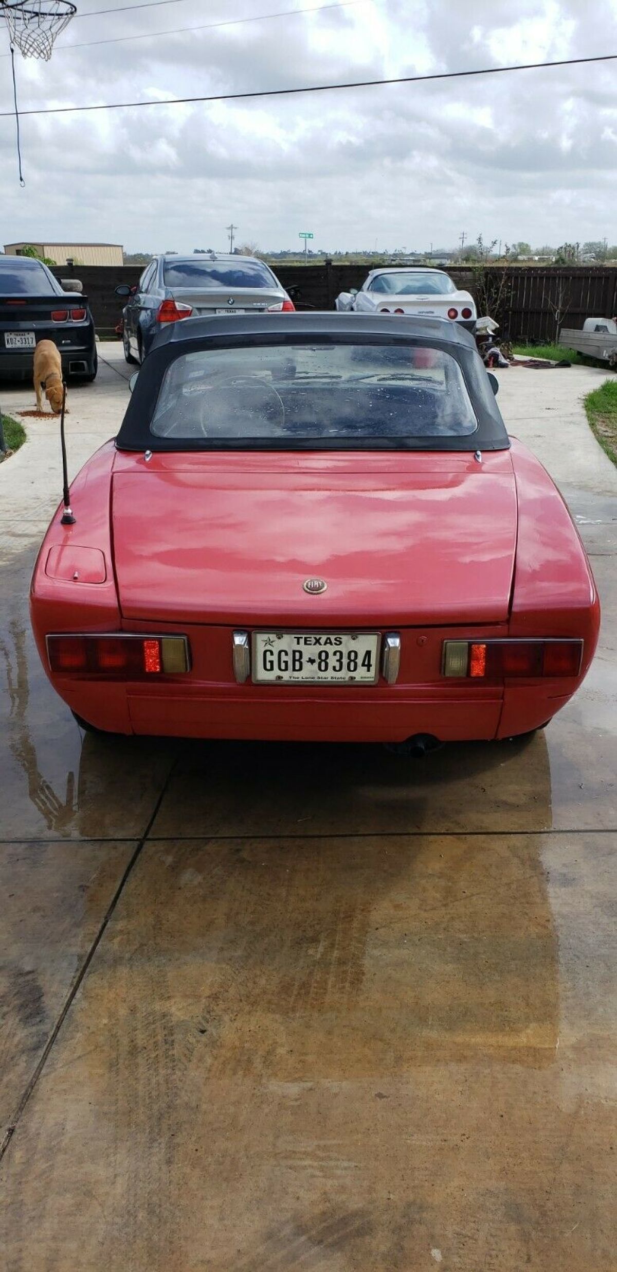 1976 Fiat 124 - photo 5