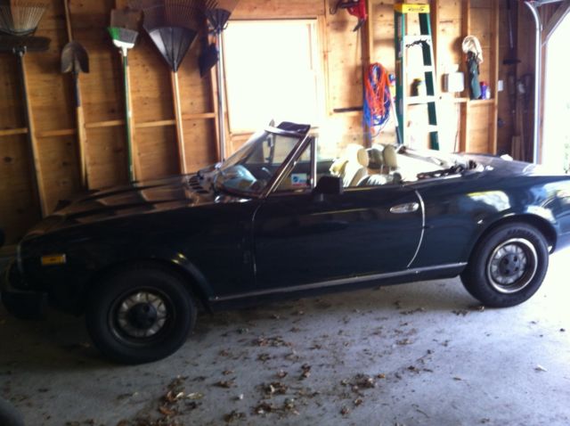 1980 Fiat Other - photo 2