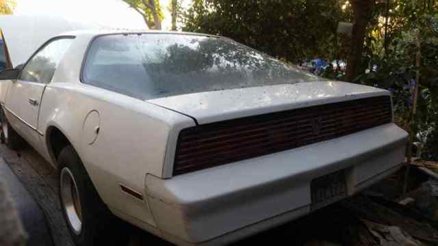 Firebird 1984 Pontiac So. Cal. rust free baby 1984 Pontiac Firebird