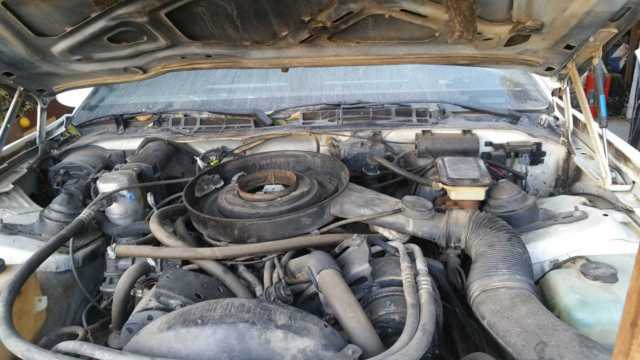 1984 Pontiac Firebird - photo 4