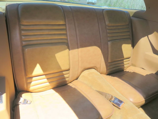 1978 Pontiac Trans Am - photo 4