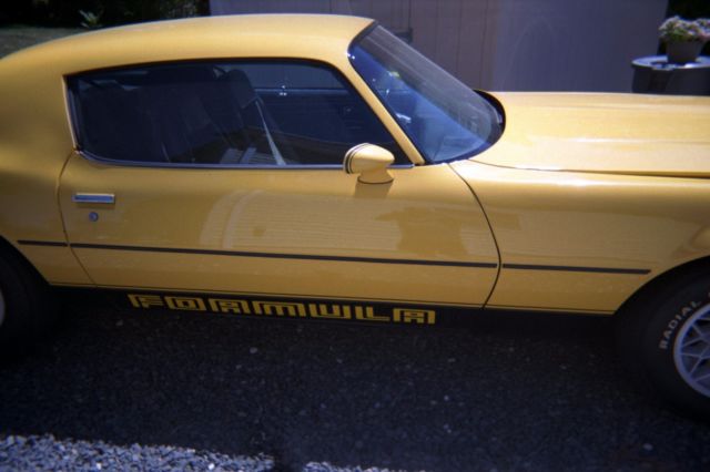 1980 Pontiac Firebird FORMULA