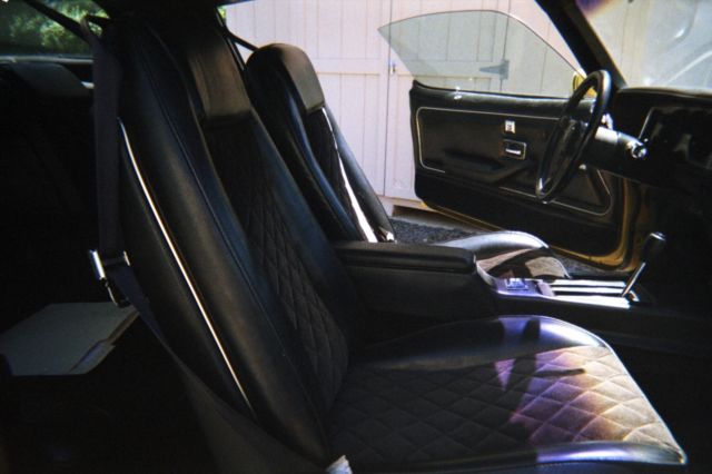 1980 Pontiac Firebird FORMULA - photo 11