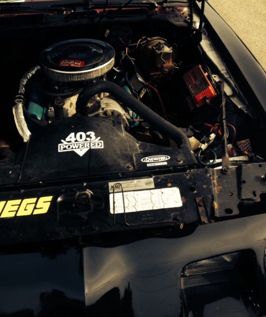 1979 Pontiac Firebird - photo 10