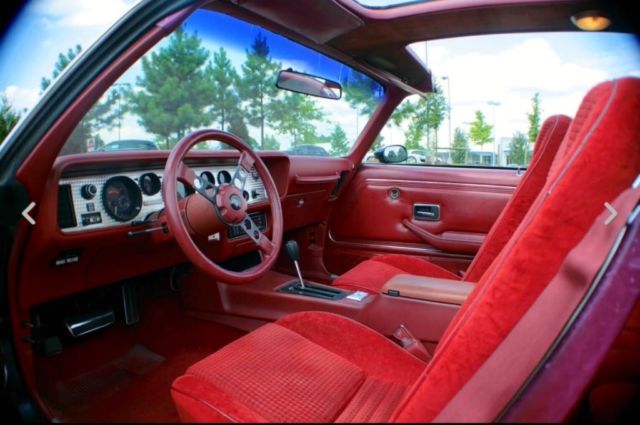 1979 Pontiac Firebird - photo 4