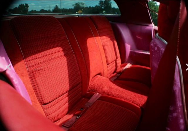 1979 Pontiac Firebird - photo 6