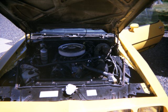 1980 Pontiac Firebird FORMULA - photo 2