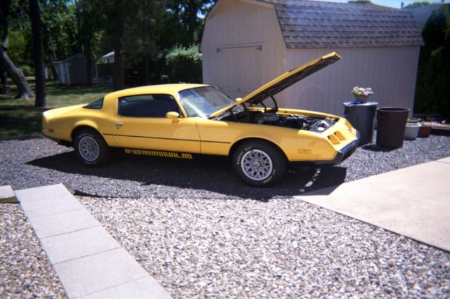 1980 Pontiac Firebird FORMULA - photo 3