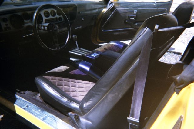 1980 Pontiac Firebird FORMULA - photo 5