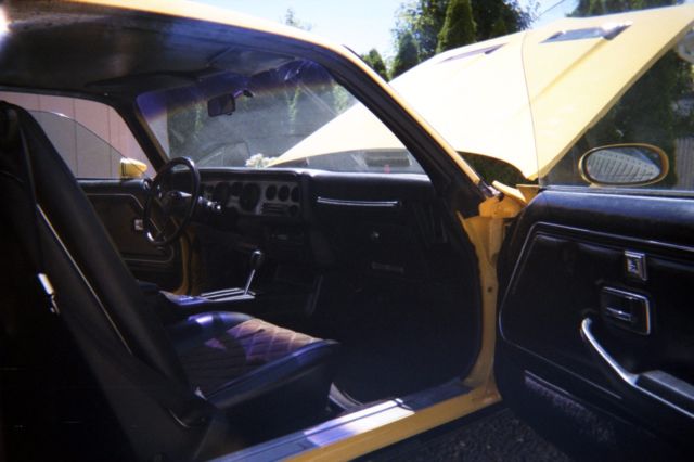 1980 Pontiac Firebird FORMULA - photo 6