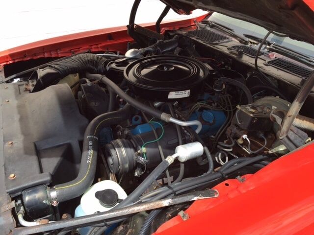 1978 Pontiac Firebird Firebird Formula Like Trans Am 5600 original miles - photo 11