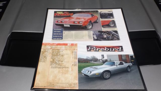 1979 Pontiac Firebird - photo 12