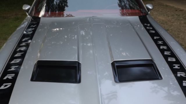 1979 Pontiac Firebird - photo 5