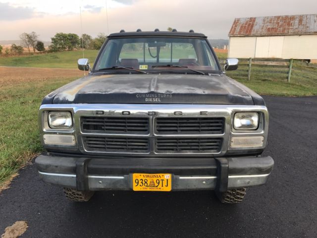 1993 Dodge Other Pickups - photo 3