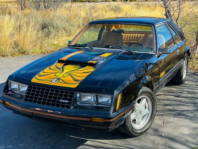 First Year Fox Body Cobra Mustang-3 door Fastback - Original Survivor-2.3l Turbo 1979 Ford Mustang Cobra