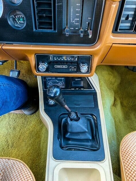 1979 Ford Mustang Cobra - photo 10
