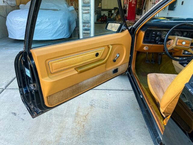 1979 Ford Mustang Cobra - photo 13