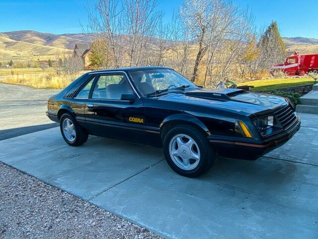 1979 Ford Mustang Cobra - photo 8