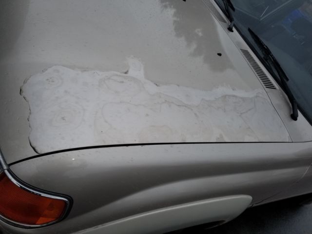 1991 Toyota Land Cruiser Base Sport Utility 4-Door - photo 5