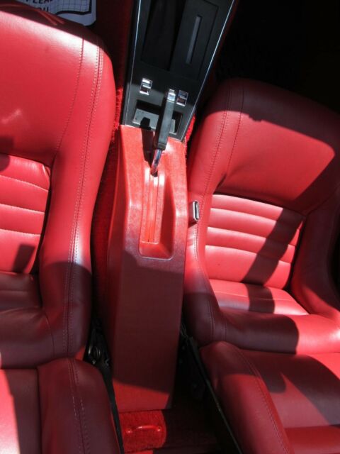 1981 Chevrolet Corvette Coupe - photo 13