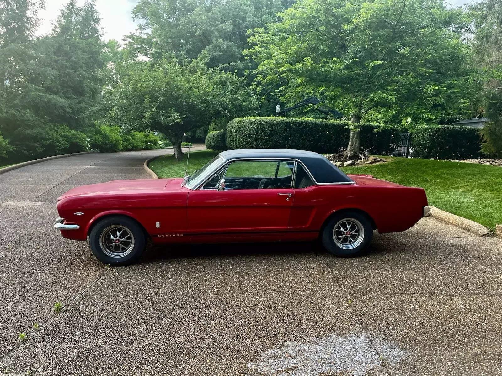 1966 Ford Mustang - photo 4