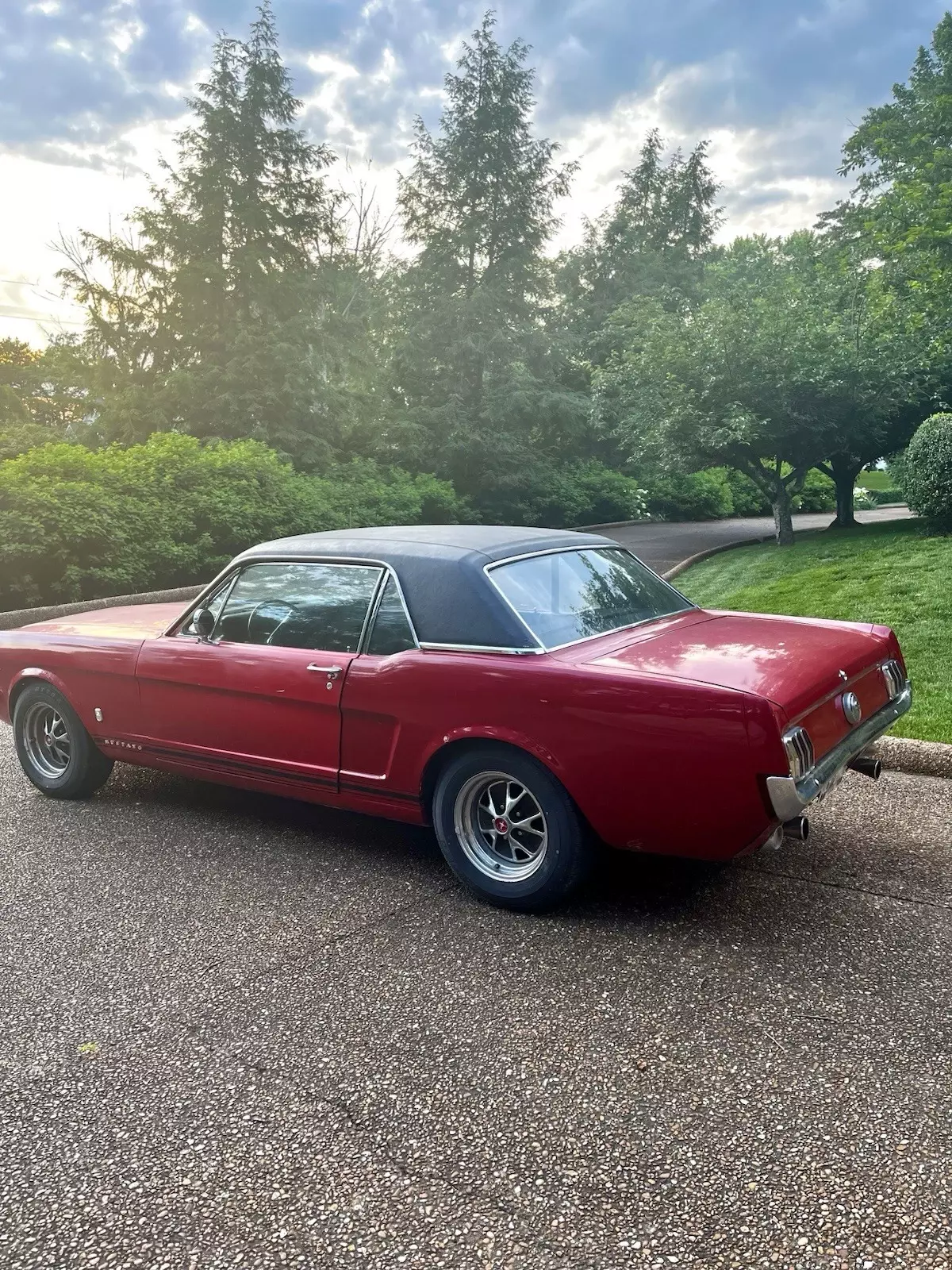 1966 Ford Mustang - photo 6