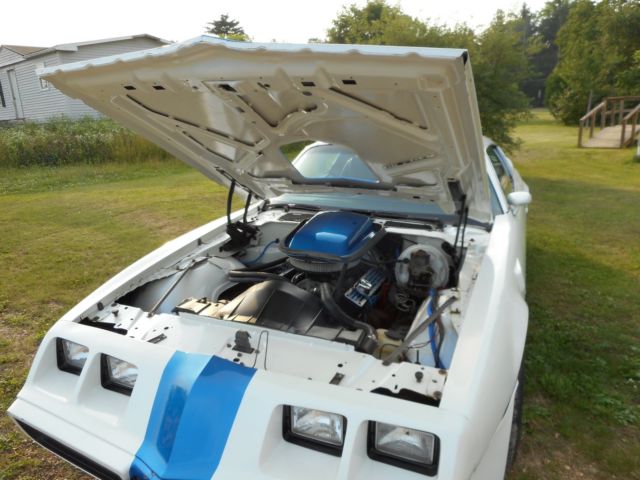 1978 Pontiac Trans Am Firebird - photo 8