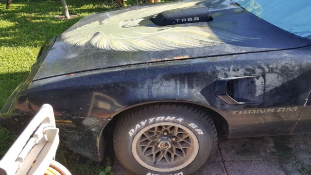 1979 Pontiac Trans Am - photo 10
