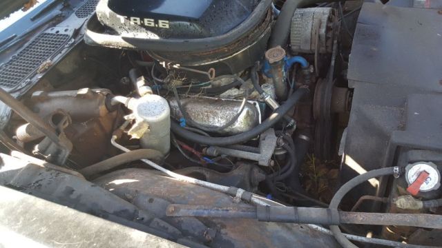 1979 Pontiac Trans Am - photo 4