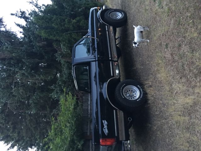 1993 Ford F-150 - photo 2