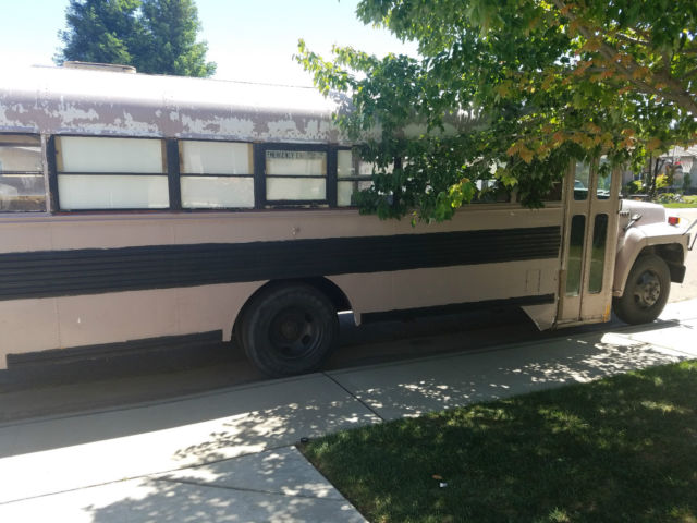 Ford Bluebird bus conversion 1993 Ford Other B600 Diesel