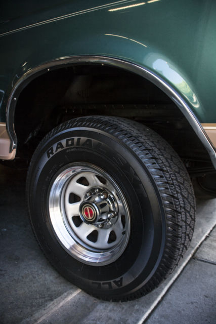 1989 Ford Bronco Eddie Bauer - photo 3