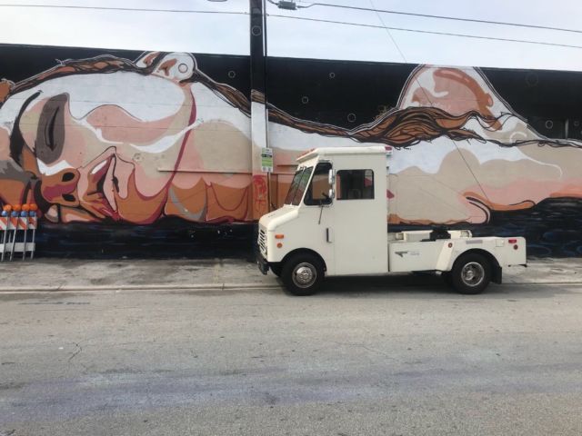 1985 Other Makes Grumman Olson - photo 8