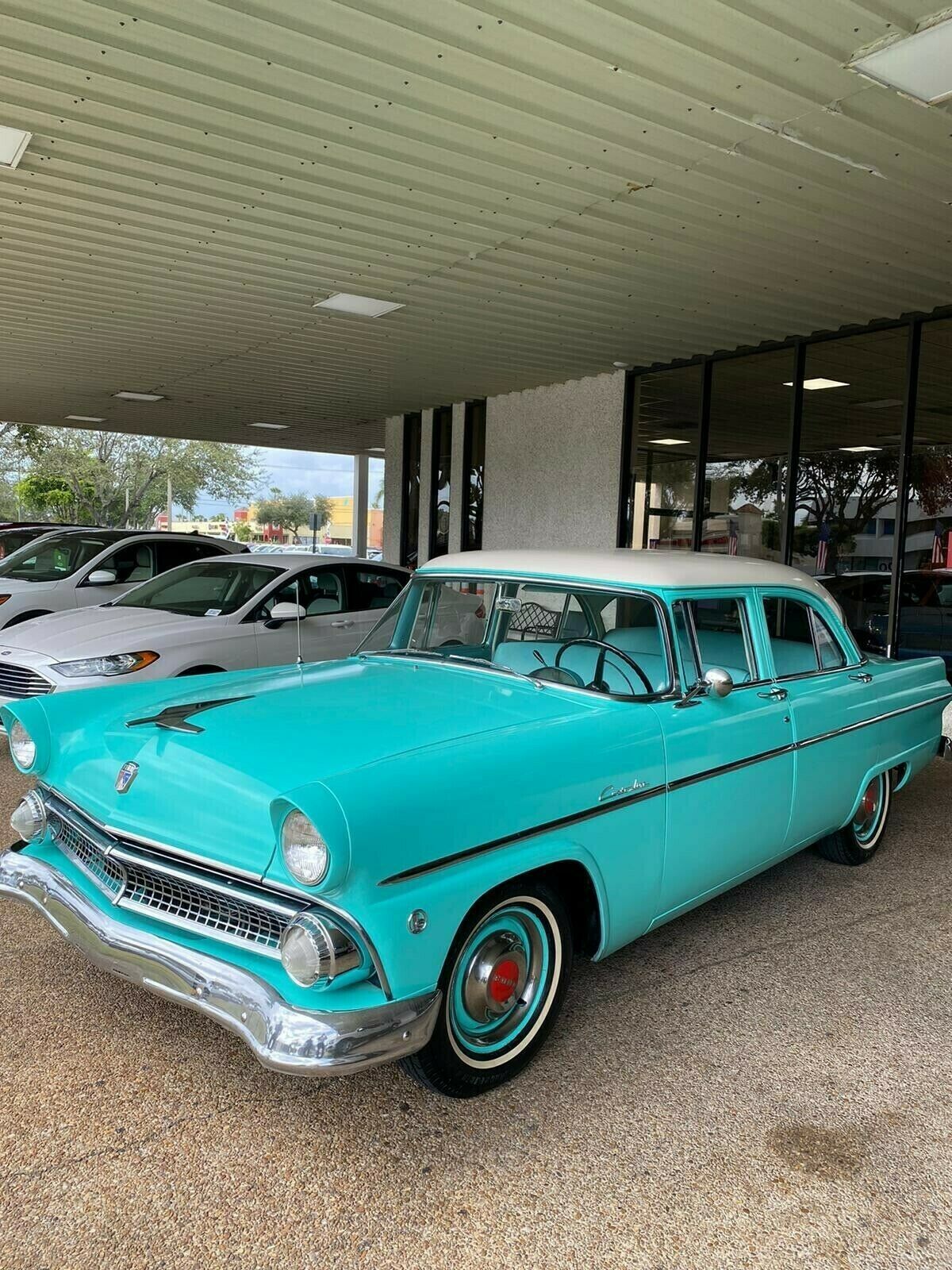 1955 Ford Other - photo 2