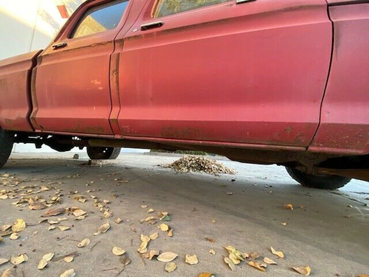 1974 Ford F250 - photo 8