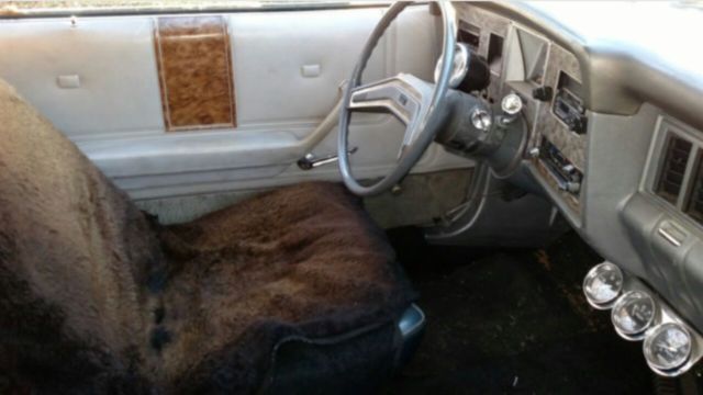 1979 Ford Other - photo 3