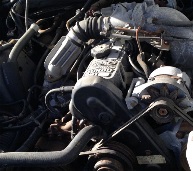 1986 Ford Thunderbird - photo 7