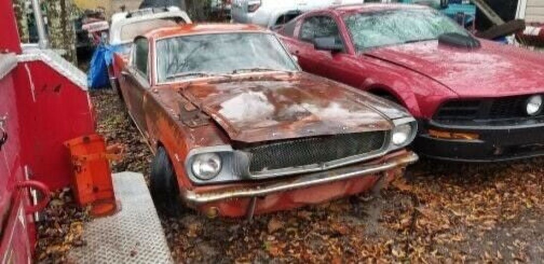 Ford mustang Fastback 1965, for restoration! Cheap 1966 Ford Mustang