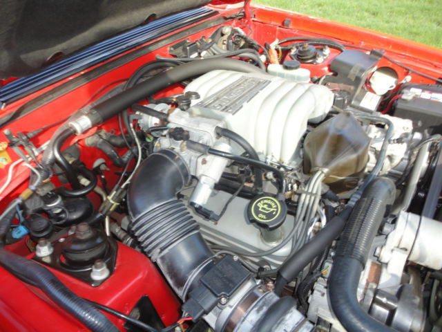 1992 Ford Mustang Summertime Edition convertible - photo 12