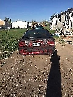 1994 Ford Mustang - photo 2