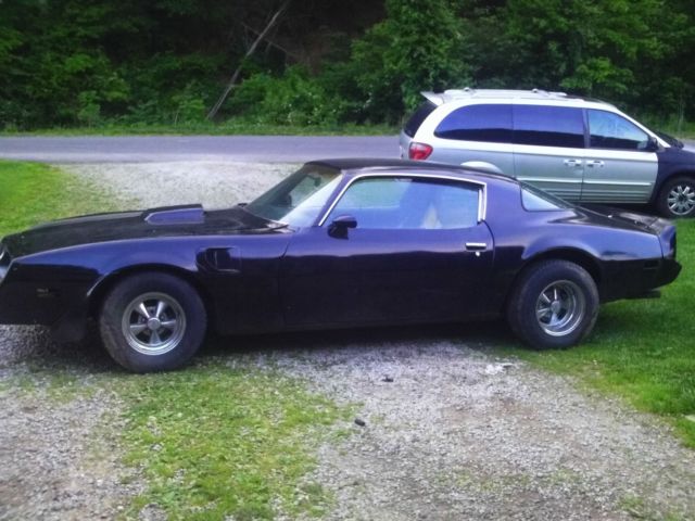 1979 Pontiac Firebird Formula - photo 2