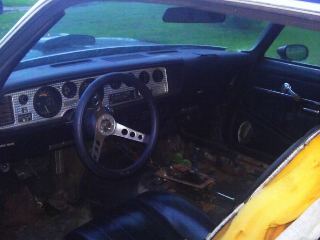 1979 Pontiac Firebird Formula - photo 4