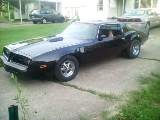 1979 Pontiac Firebird Formula - photo 3
