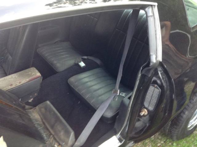 1979 Pontiac Firebird Formula - photo 6